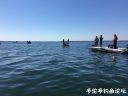 Filename=attachID_20699_postID_191576_416_1.jpg
Filesize=78KiB
Dimensions=1000x750
Date added=Dec 02, 2016 attachID_20699_postID_191576_416_1.jpg