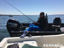 Filename=attachID_20707_postID_191576_416_9.jpg
Filesize=83KiB
Dimensions=1000x750
Date added=Dec 02, 2016 attachID_20707_postID_191576_416_9.jpg