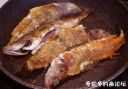 Filename=attachID_20734_postID_191717_perch_1.jpg
Filesize=129KiB
Dimensions=983x690
Date added=Dec 02, 2016 attachID_20734_postID_191717_perch_1.jpg