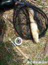 attachID_20869_postID_193023_IMG_20160425_133252.jpg