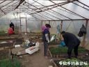 attachID_20907_postID_193302_QQsC2F2Btec20160427204512.jpg