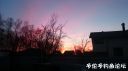 attachID_20936_postID_193452_DSC_0098.JPG
