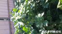 Filename=attachID_20949_postID_193483_20150809_160616.jpg
Filesize=109KiB
Dimensions=1000x562
Date added=Dec 02, 2016 attachID_20949_postID_193483_20150809_160616.jpg