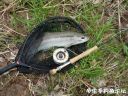 attachID_20969_postID_193669_IMG_20160429_112459.jpg
