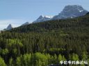 Filename=attachID_21168_postID_195153_2.jpg
Filesize=115KiB
Dimensions=992x744
Date added=Dec 02, 2016 attachID_21168_postID_195153_2.jpg
