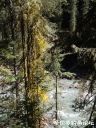 Filename=attachID_21185_postID_195153_19.jpg
Filesize=230KiB
Dimensions=744x992
Date added=Dec 02, 2016 attachID_21185_postID_195153_19.jpg