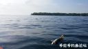 Filename=attachID_21594_postID_199150_20160528_085706.jpg
Filesize=59KiB
Dimensions=1000x562
Date added=Dec 02, 2016 attachID_21594_postID_199150_20160528_085706.jpg