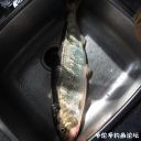 attachID_21765_postID_200130_IMG_0394.JPG