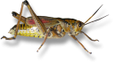 Filename=attachID_21830_postID_200701_MA1.PNG
Filesize=117KiB
Dimensions=500x281
Date added=Dec 02, 2016 attachID_21830_postID_200701_MA1.PNG