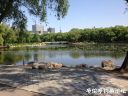 attachID_21843_postID_200808_image.jpeg