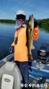 Filename=attachID_21998_postID_202352_20160615_095834.jpg
Filesize=71KiB
Dimensions=562x1000
Date added=Dec 02, 2016 attachID_21998_postID_202352_20160615_095834.jpg