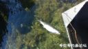 Filename=attachID_22030_postID_202577_20160617_102041.jpg
Filesize=85KiB
Dimensions=1000x562
Date added=Dec 02, 2016 attachID_22030_postID_202577_20160617_102041.jpg