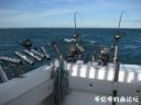 Filename=attachID_22044_postID_202608_sanwen12.jpg
Filesize=75KiB
Dimensions=985x739
Date added=Dec 02, 2016 attachID_22044_postID_202608_sanwen12.jpg
