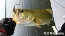 Filename=attachID_22110_postID_203068_20160619_074433.jpg
Filesize=64KiB
Dimensions=1000x562
Date added=Dec 02, 2016 attachID_22110_postID_203068_20160619_074433.jpg