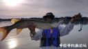 Filename=attachID_22164_postID_203686__00d.jpg
Filesize=54KiB
Dimensions=1000x567
Date added=Dec 02, 2016 attachID_22164_postID_203686__00d.jpg