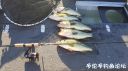 Filename=attachID_22210_postID_204334_20160623_193512.jpg
Filesize=130KiB
Dimensions=1000x562
Date added=Dec 02, 2016 attachID_22210_postID_204334_20160623_193512.jpg