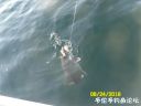 Filename=attachID_22226_postID_204409_gar1.jpg
Filesize=51KiB
Dimensions=1000x750
Date added=Dec 02, 2016 attachID_22226_postID_204409_gar1.jpg