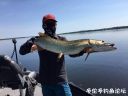 attachID_22243_postID_204632_image.jpeg