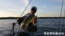attachID_22294_postID_204842_20160626_065429.jpg