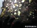 Filename=attachID_22298_postID_205051_image.jpeg
Filesize=116KiB
Dimensions=1000x750
Date added=Dec 02, 2016 attachID_22298_postID_205051_image.jpeg