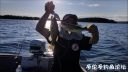 attachID_22413_postID_205777__00k.jpg