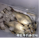 attachID_22473_postID_206071_tO2Bbass.png