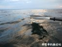 Filename=attachID_22599_postID_207385_1.jpg
Filesize=87KiB
Dimensions=1000x750
Date added=Dec 02, 2016 attachID_22599_postID_207385_1.jpg