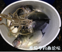 Filename=attachID_22767_postID_208783_S2Bet7C2B.png
Filesize=433KiB
Dimensions=616x524
Date added=Dec 02, 2016 attachID_22767_postID_208783_S2Bet7C2B.png