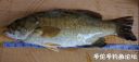 Filename=attachID_22771_postID_208802__00r.jpg
Filesize=73KiB
Dimensions=1000x452
Date added=Dec 02, 2016 attachID_22771_postID_208802__00r.jpg