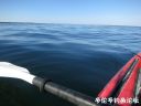 attachID_22902_postID_209884_3.jpg