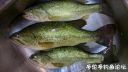 Filename=attachID_22936_postID_210161__00y.jpg
Filesize=96KiB
Dimensions=1000x567
Date added=Dec 02, 2016 attachID_22936_postID_210161__00y.jpg