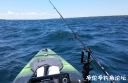 Filename=attachID_22971_postID_210590_20160723_125751_mh1469302882215.jpg
Filesize=116KiB
Dimensions=1000x650
Date added=Dec 02, 2016 attachID_22971_postID_210590_20160723_125751_mh1469302882215.jpg