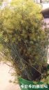 Filename=attachID_23007_postID_210753_20160724_115749.jpg
Filesize=115KiB
Dimensions=562x1000
Date added=Dec 02, 2016 attachID_23007_postID_210753_20160724_115749.jpg