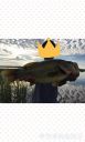 Filename=attachID_23016_postID_210787_image.jpeg
Filesize=64KiB
Dimensions=606x1000
Date added=Dec 02, 2016 attachID_23016_postID_210787_image.jpeg