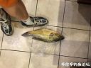 Filename=attachID_23031_postID_210745_ma3.jpg
Filesize=87KiB
Dimensions=1000x750
Date added=Dec 02, 2016 attachID_23031_postID_210745_ma3.jpg