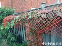 attachID_23166_postID_212236_image.jpeg