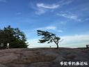 attachID_23196_postID_212599_IMG_0089.JPG