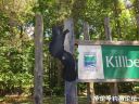 attachID_23201_postID_212599_IMG_0145.JPG