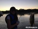 Filename=attachID_23318_postID_213601_IMG_0208.JPG
Filesize=88KiB
Dimensions=1000x750
Date added=Dec 02, 2016 attachID_23318_postID_213601_IMG_0208.JPG