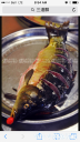 Filename=attachID_23336_postID_213720_image.png
Filesize=637KiB
Dimensions=563x1000
Date added=Dec 02, 2016 attachID_23336_postID_213720_image.png