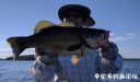 Filename=attachID_23412_postID_214429__00m.jpg
Filesize=63KiB
Dimensions=1000x590
Date added=Dec 02, 2016 attachID_23412_postID_214429__00m.jpg
