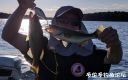 Filename=attachID_23415_postID_214454__00n.jpg
Filesize=68KiB
Dimensions=1000x628
Date added=Dec 02, 2016 attachID_23415_postID_214454__00n.jpg