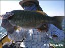 Filename=attachID_23713_postID_217681__00p.jpg
Filesize=104KiB
Dimensions=1000x746
Date added=Dec 02, 2016 attachID_23713_postID_217681__00p.jpg