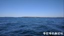 Filename=attachID_23714_postID_217681__00q.jpg
Filesize=69KiB
Dimensions=1000x563
Date added=Dec 02, 2016 attachID_23714_postID_217681__00q.jpg