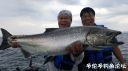 Filename=attachID_23833_postID_218627_20160707_165855.jpg
Filesize=80KiB
Dimensions=1000x562
Date added=Dec 02, 2016 attachID_23833_postID_218627_20160707_165855.jpg