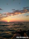 Filename=attachID_23964_postID_220004_IMG_20160920_113633.jpg
Filesize=89KiB
Dimensions=750x1000
Date added=Dec 02, 2016 attachID_23964_postID_220004_IMG_20160920_113633.jpg