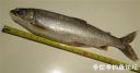 Filename=attachID_23998_postID_220312_xiao_laker_2.jpg
Filesize=67KiB
Dimensions=966x509
Date added=Dec 02, 2016 attachID_23998_postID_220312_xiao_laker_2.jpg