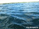 Filename=attachID_24042_postID_220515_9.jpg
Filesize=128KiB
Dimensions=1000x750
Date added=Dec 02, 2016 attachID_24042_postID_220515_9.jpg