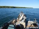 attachID_24056_postID_220613_DSCN0075.jpg