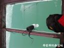 Filename=attachID_24152_postID_221793_chang3.jpg
Filesize=63KiB
Dimensions=985x739
Date added=Dec 02, 2016 attachID_24152_postID_221793_chang3.jpg